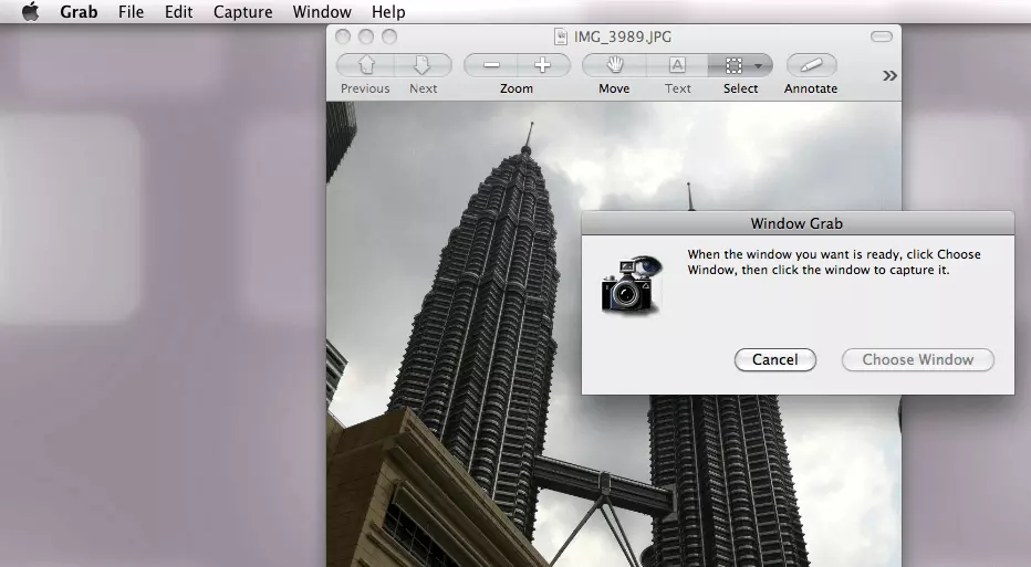 Imagen: Captura de una ventana en la aplicación Instantánea de sistemas Mac